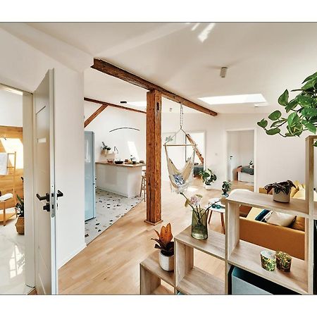 Sunny Apartment At The Heart Of Old Town Krakkó Kültér fotó
