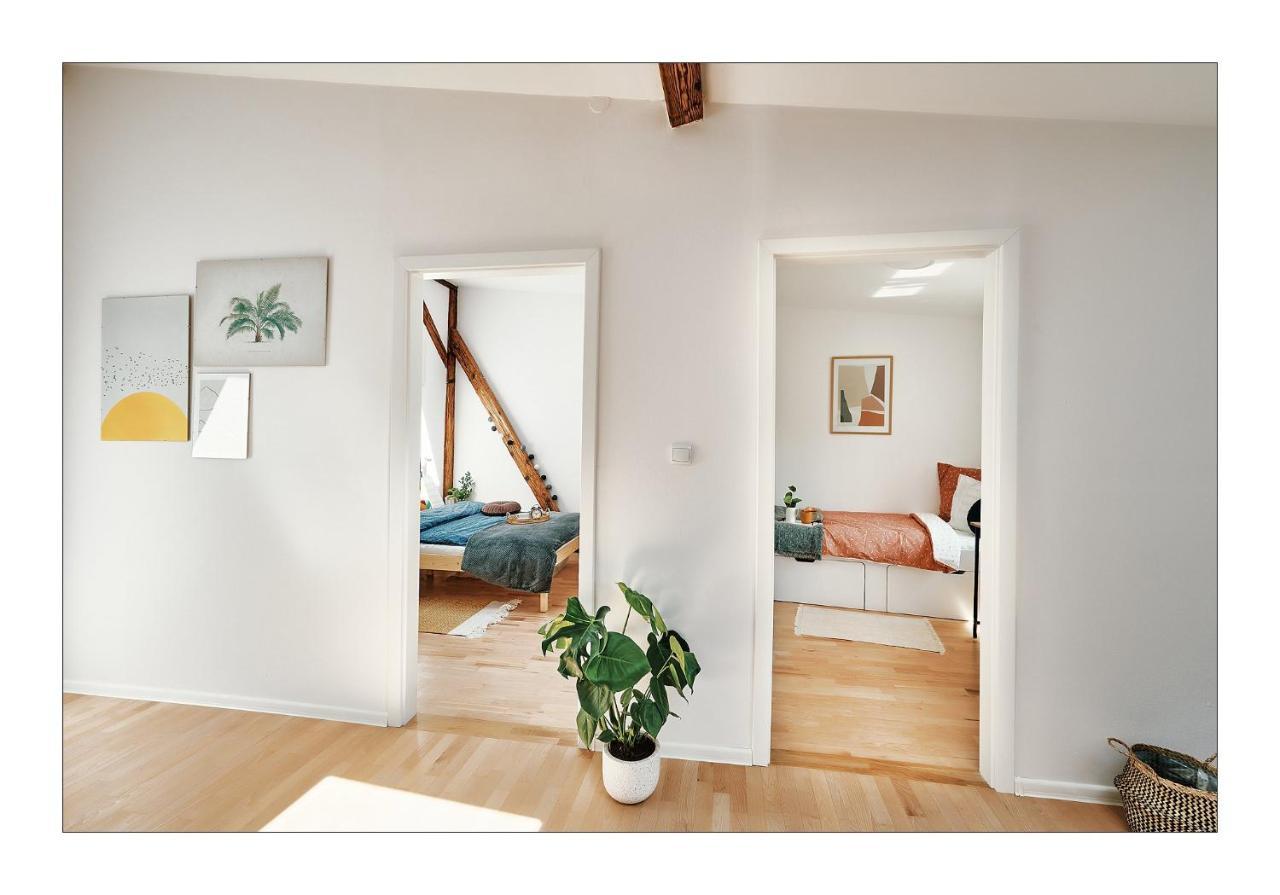 Sunny Apartment At The Heart Of Old Town Krakkó Kültér fotó