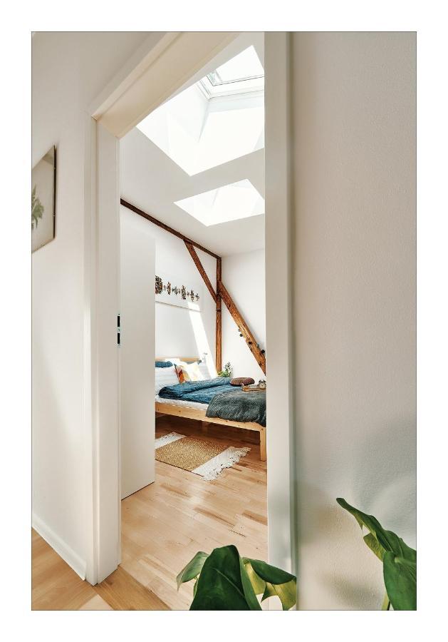 Sunny Apartment At The Heart Of Old Town Krakkó Kültér fotó
