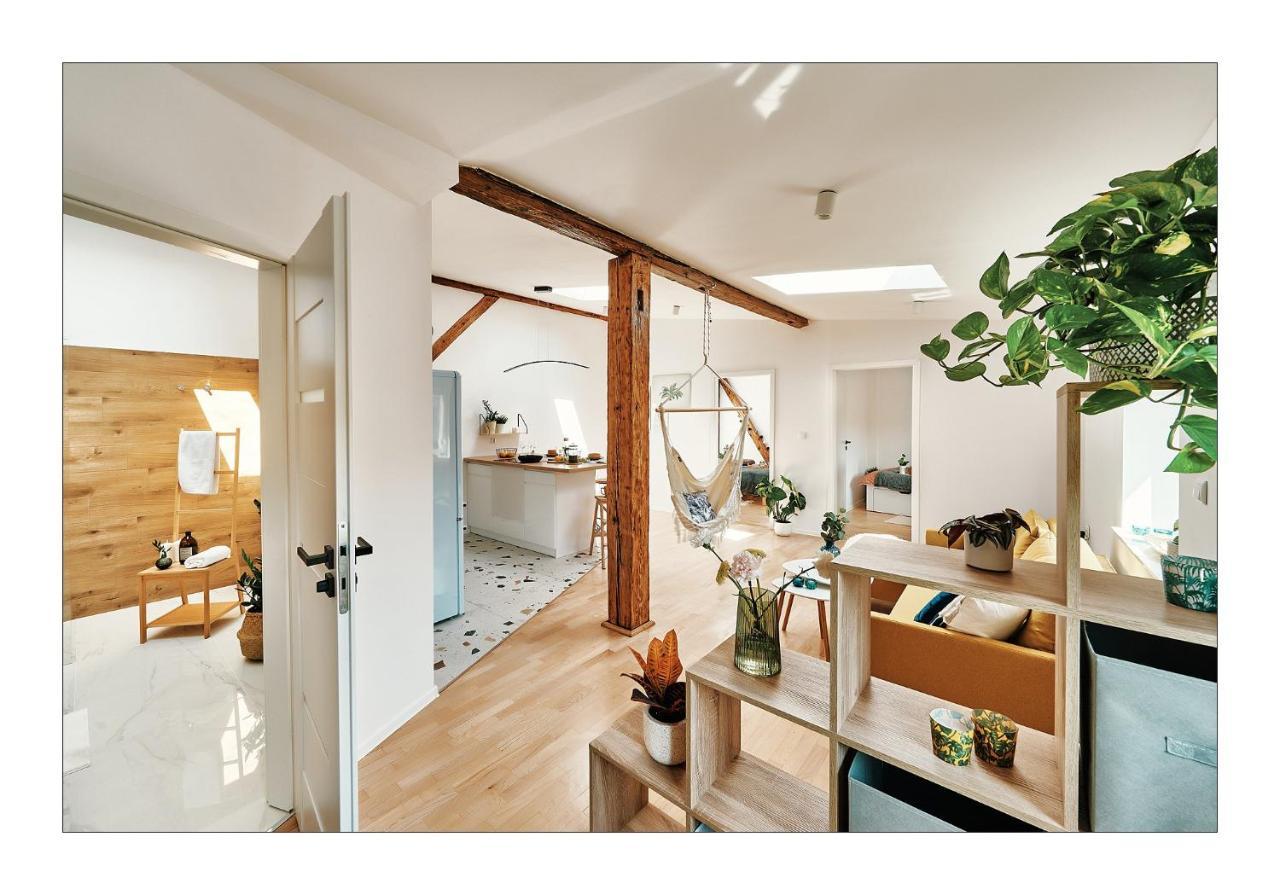 Sunny Apartment At The Heart Of Old Town Krakkó Kültér fotó